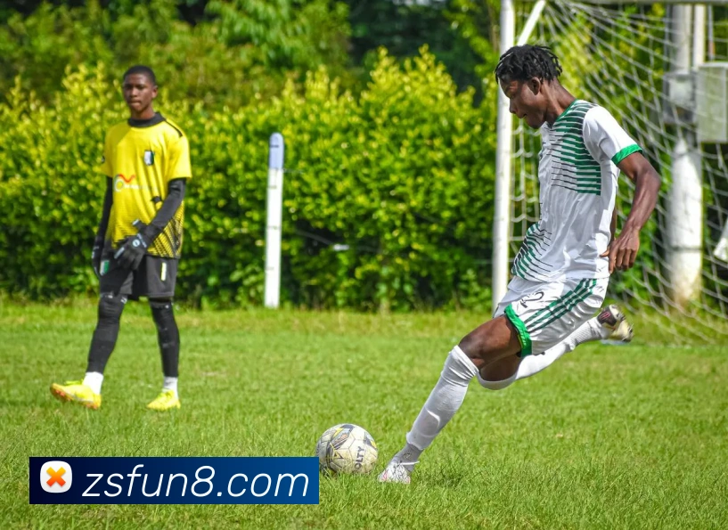 九游会官网平台生态图